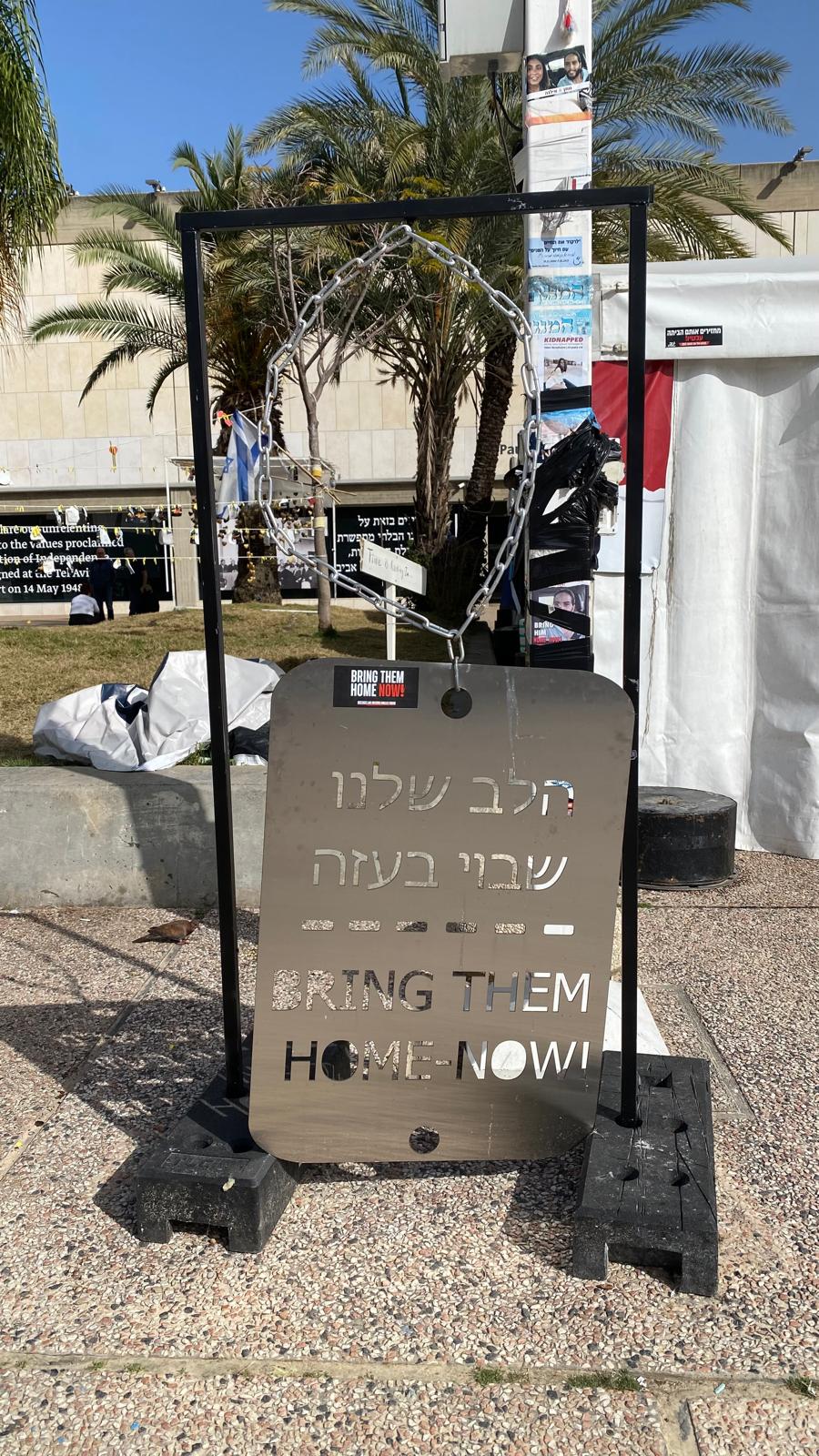 צילום: עמית קוטלר