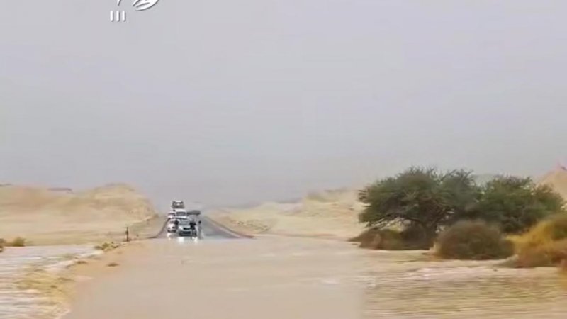 צילום: דוברות משטרת ישראל