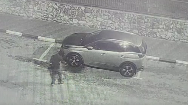צילום: דוברות המשטרה