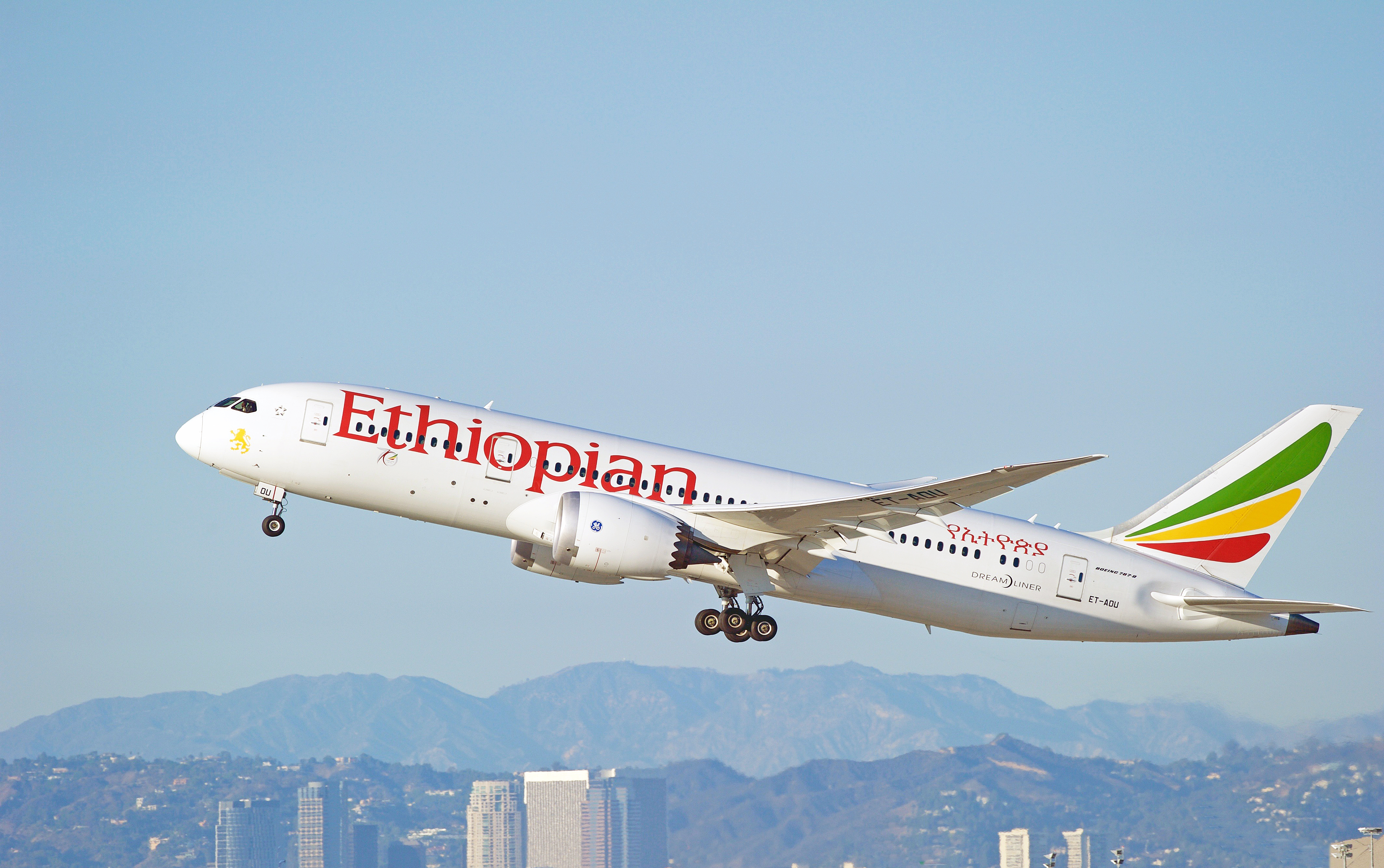 Ethiopian Airlines 787