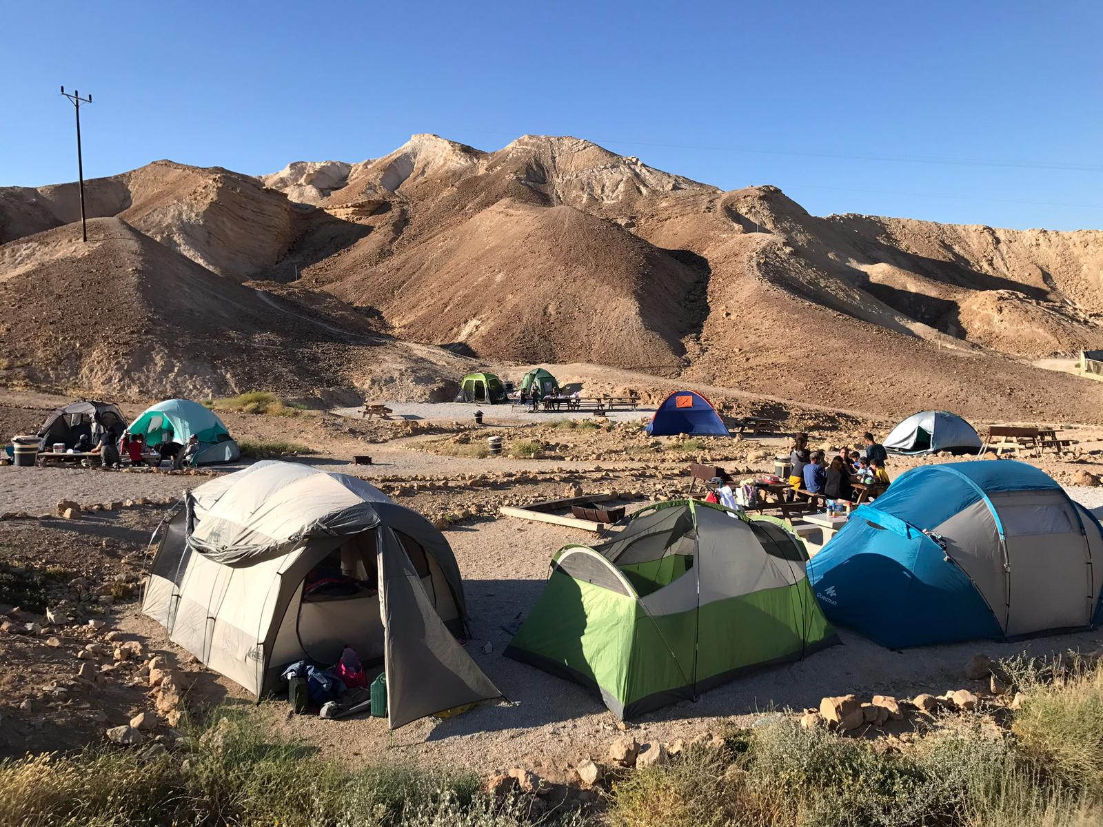 צילום: לימור קטן פרידמן - רשות הטבע והגנים