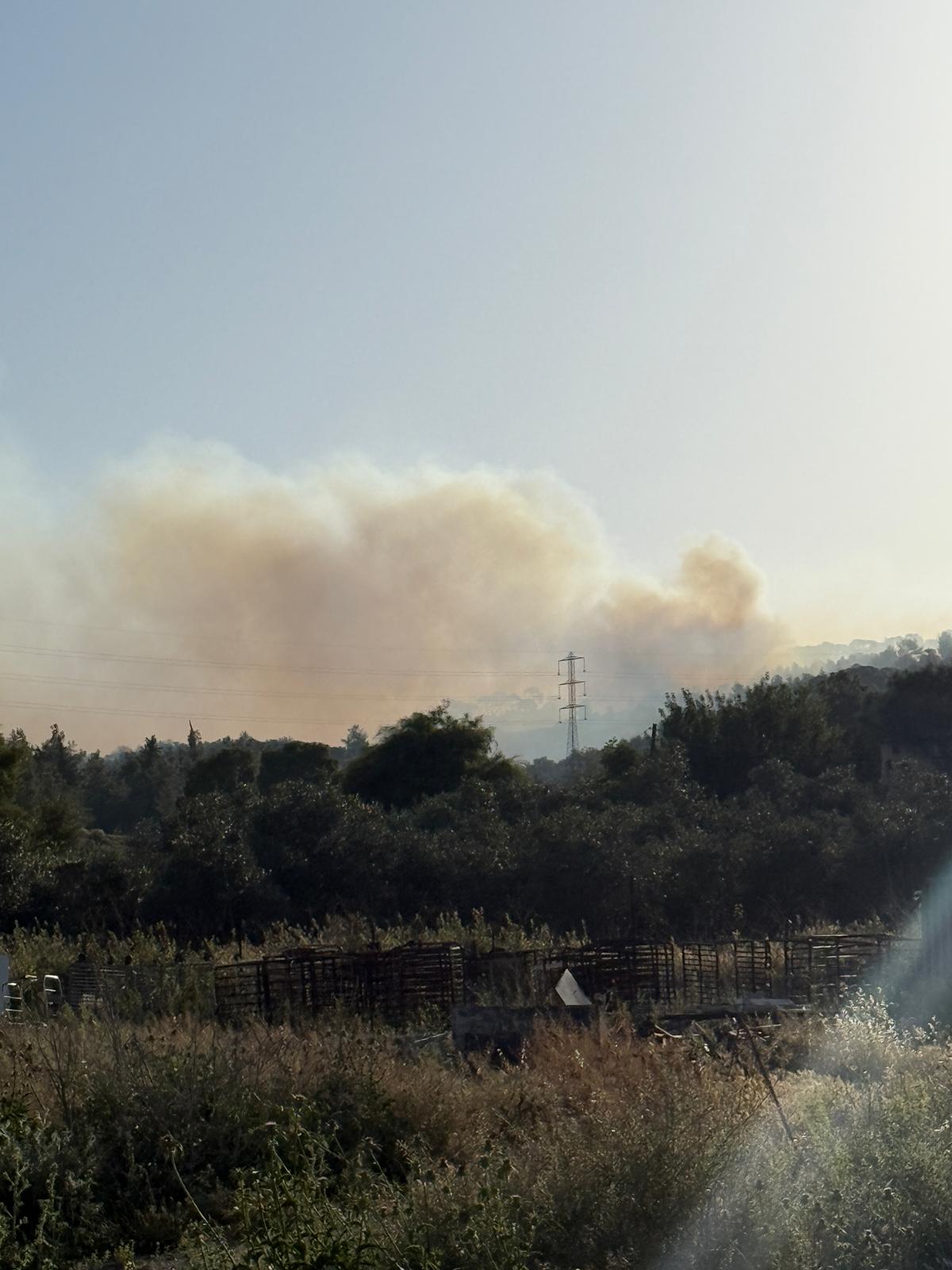 צילום: משטרת ישראל