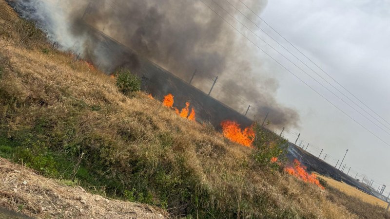 צילום: אורי סובל/כב״ה צילום: אורי סובל/כב״ה