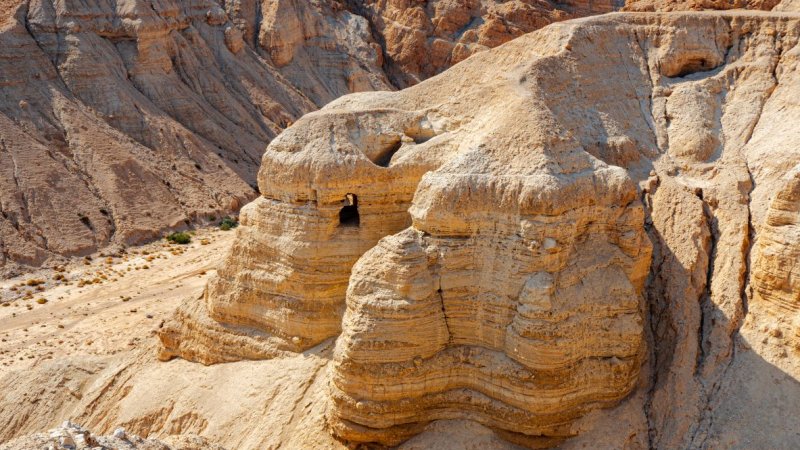 צילום: Shutterstock צילום: Shutterstock