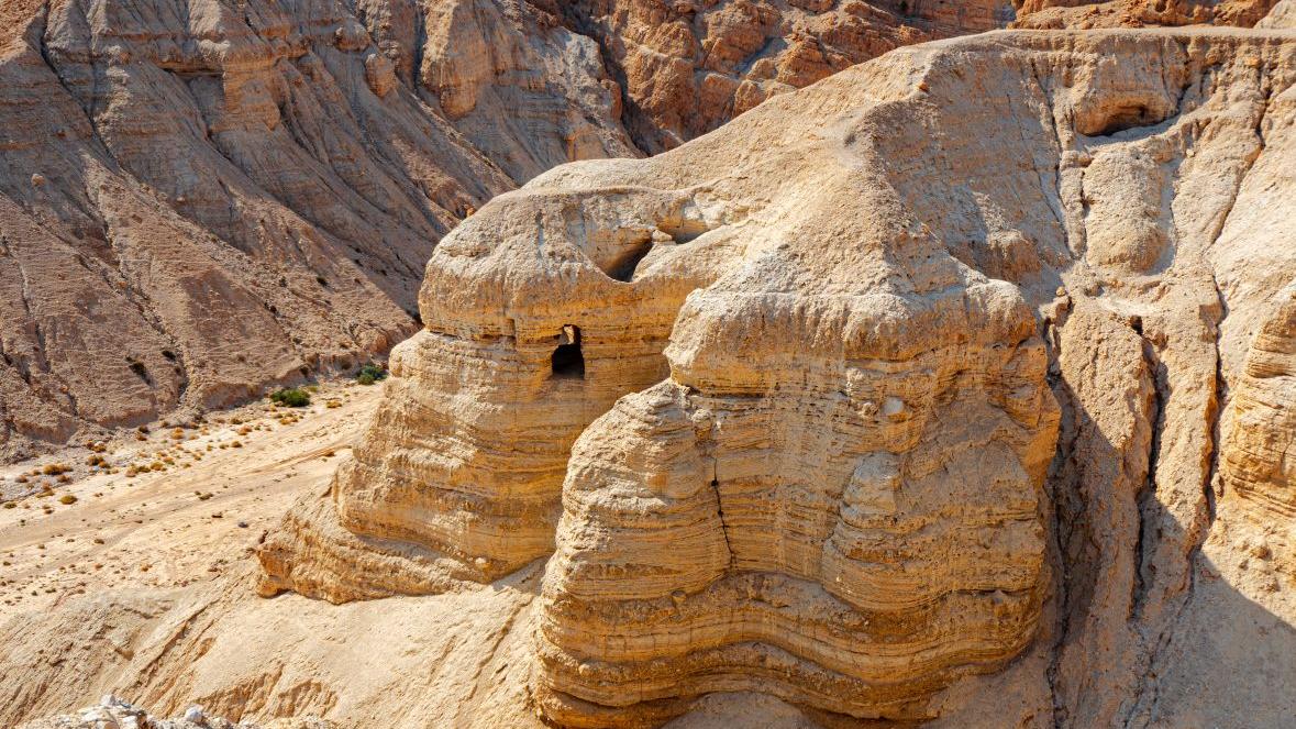 צילום: Shutterstock
