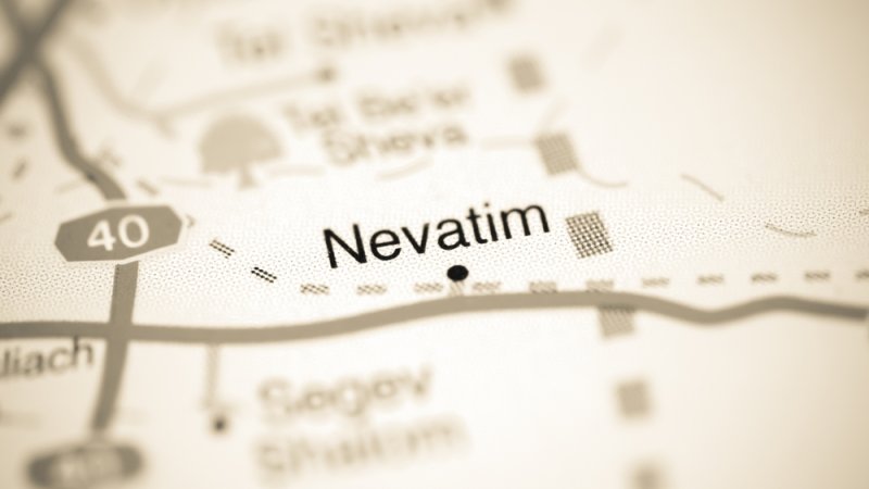 צילום: Shutterstock צילום: Shutterstock