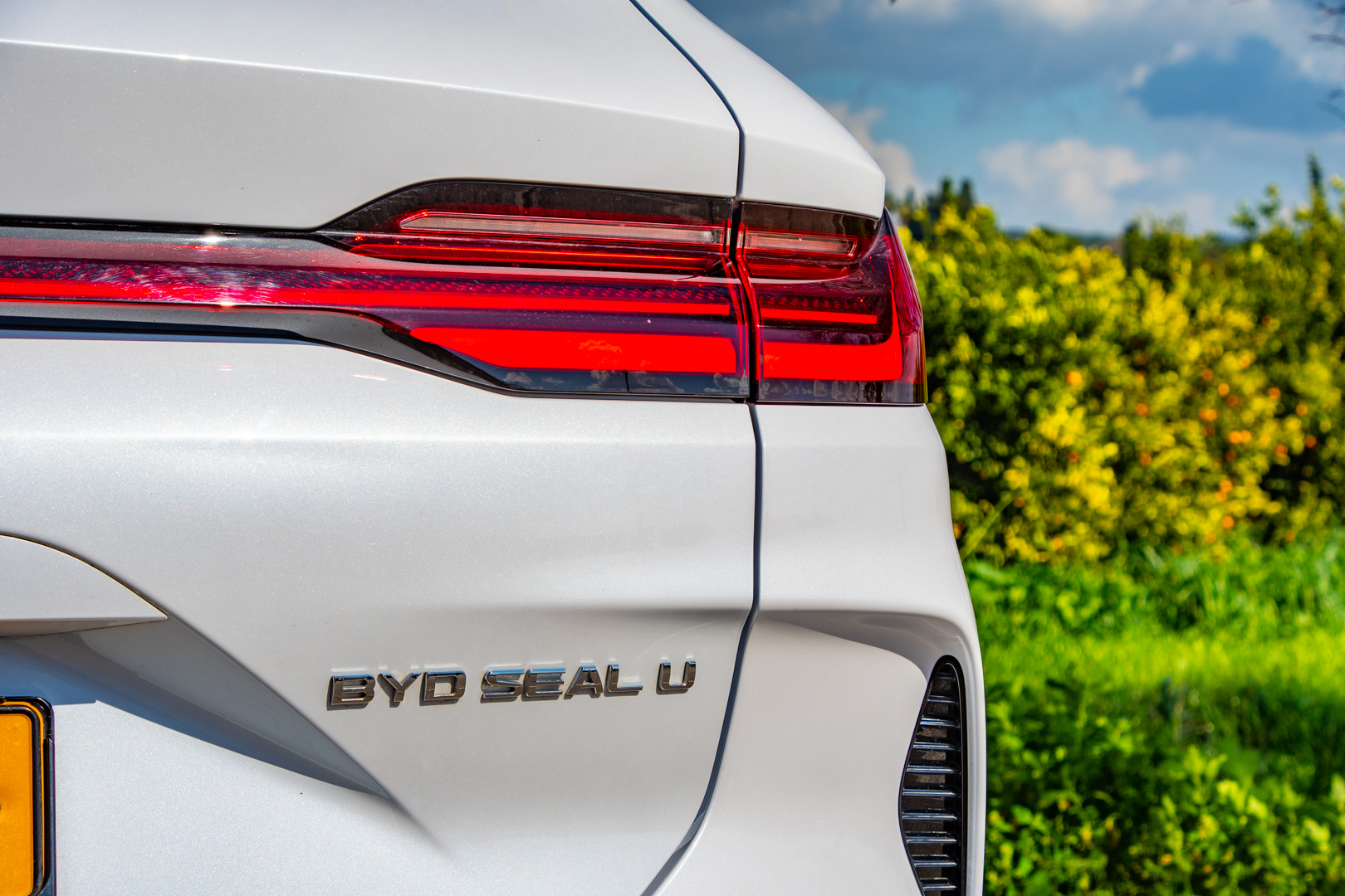 BYD SEAL U החשמלי. צילום: אירה מקיינקו