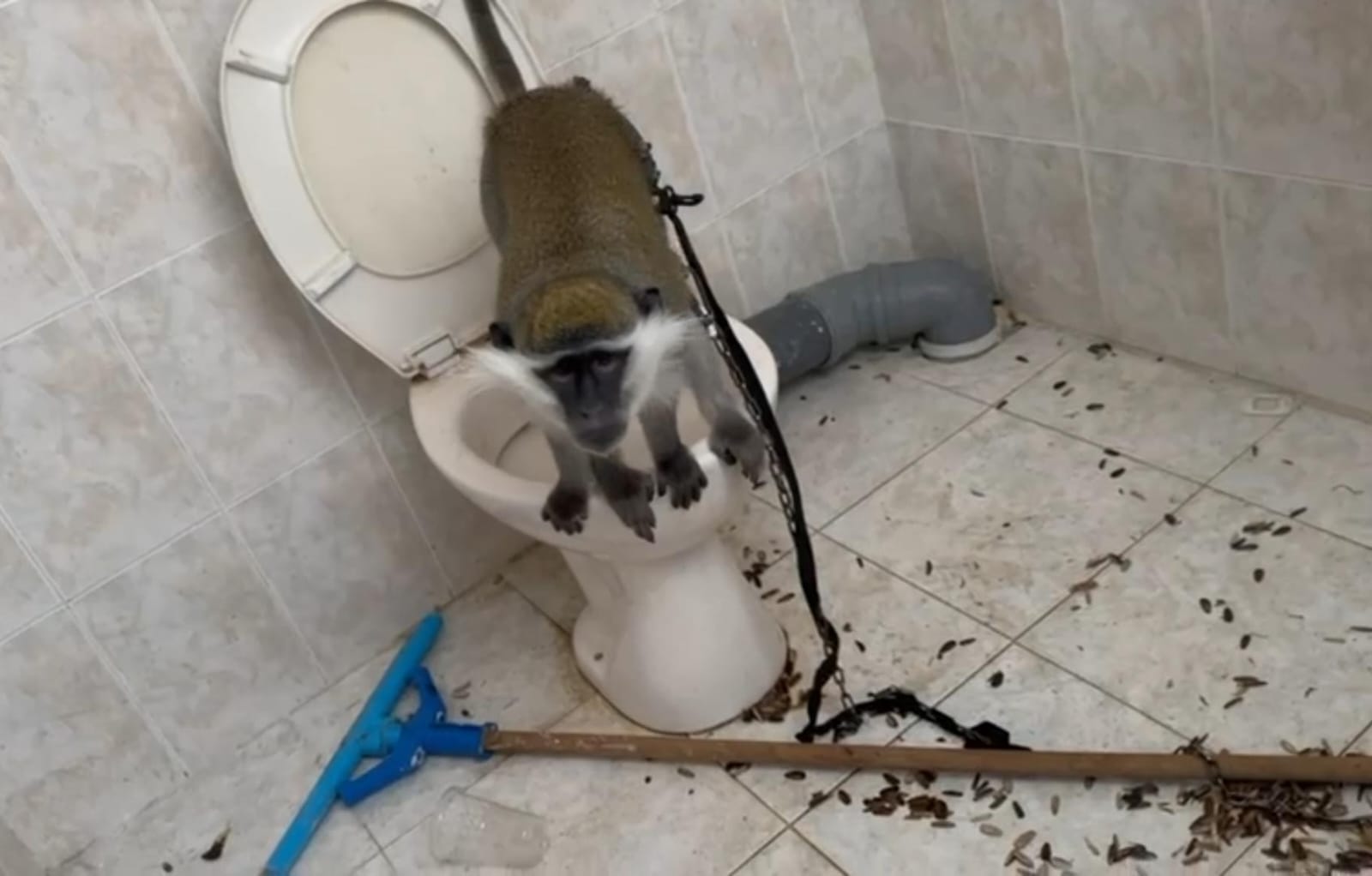 צילום: משטרת ישראל
