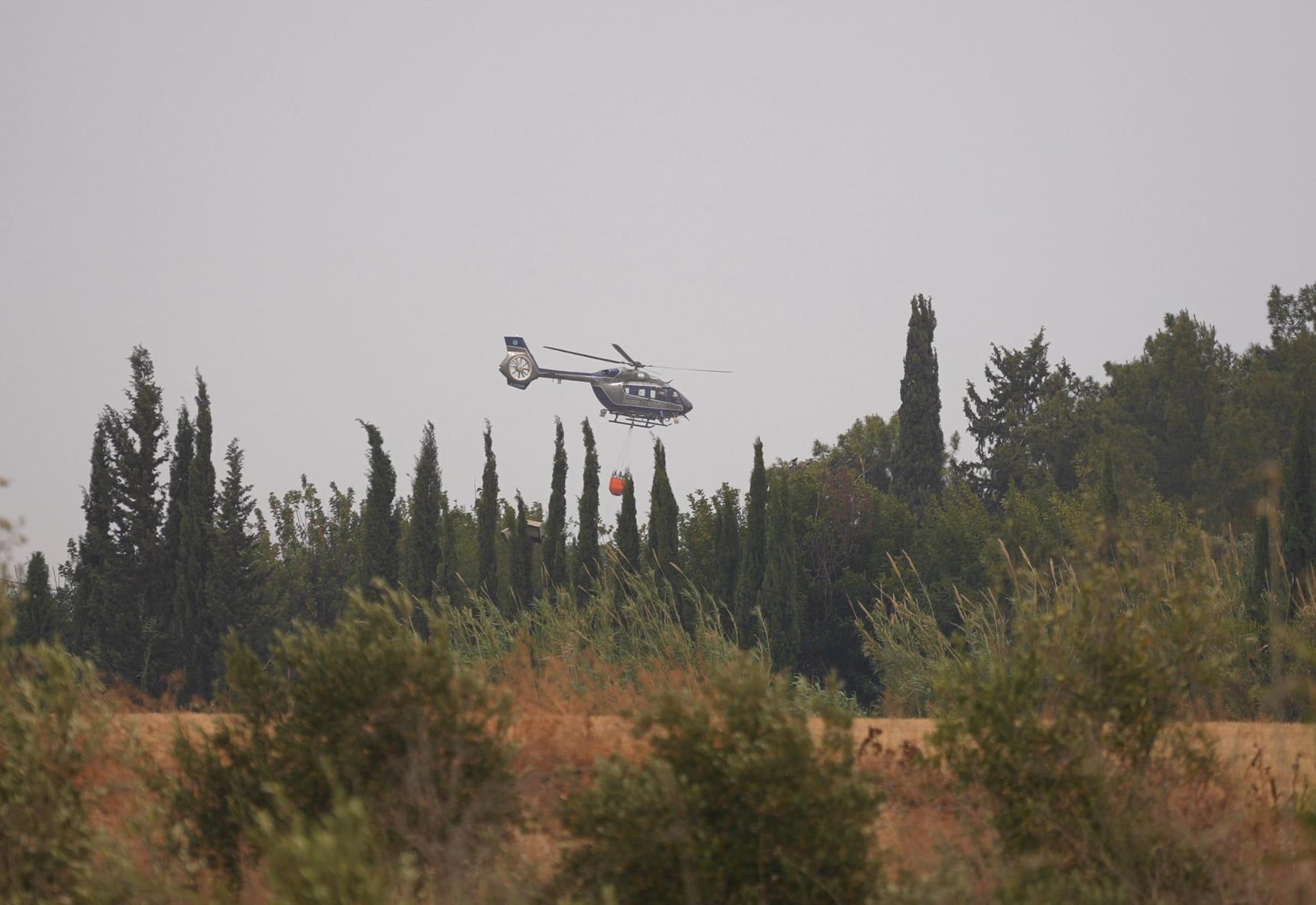 צילום: דוברות המשטרה