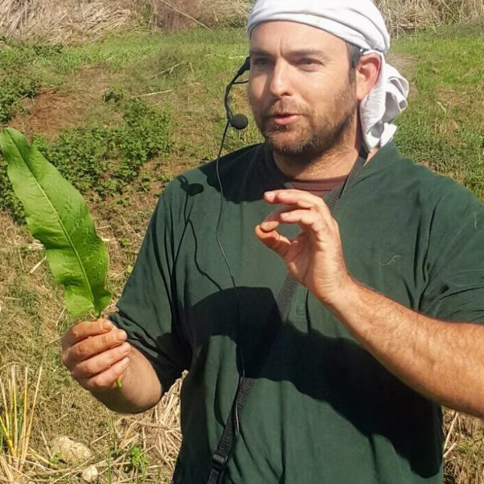 קרדיט יתיר השדה