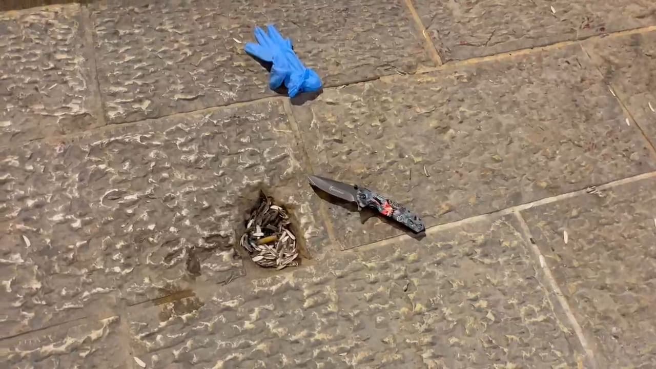 צילום: דוברות משטרה