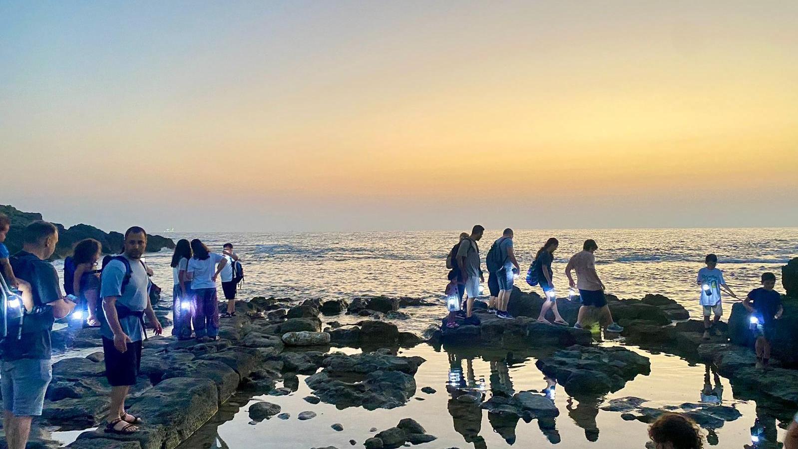 צילום: באדיבות המועצה האזורית חוף הכרמל