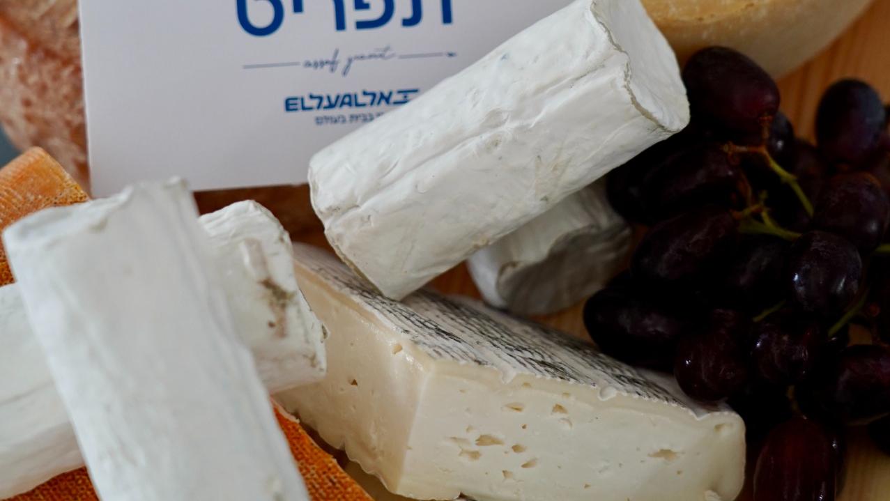 צילום: דוברות אל על