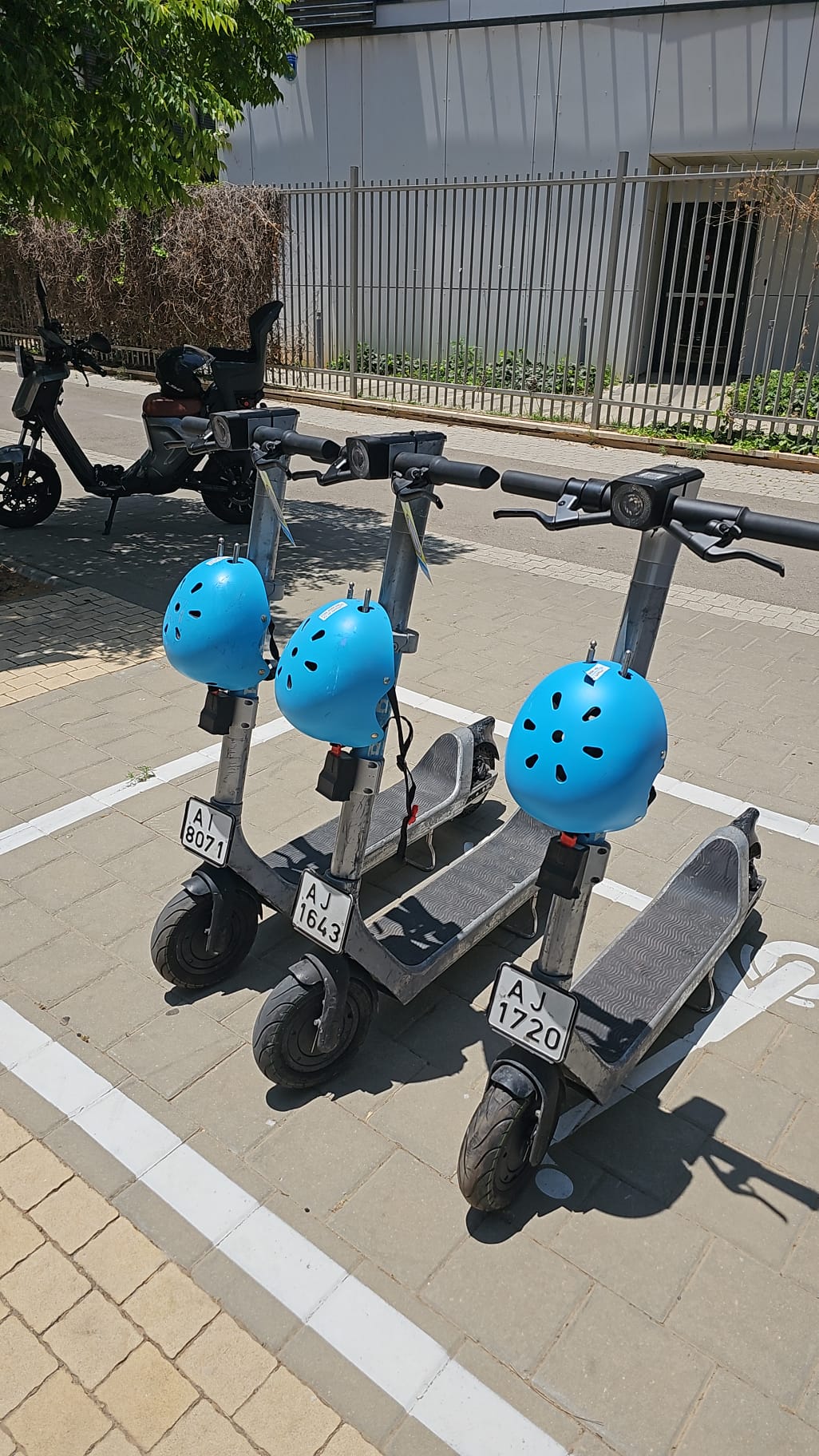 הקורקינטים החשמליים של BIRD הגיעו להרצליה