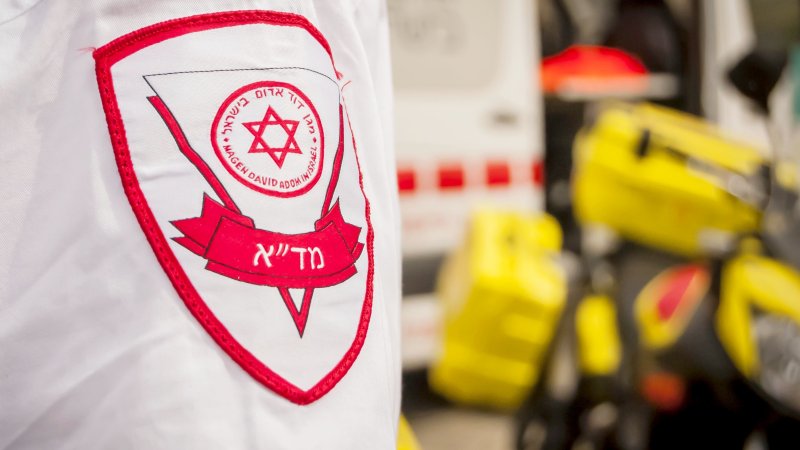 צילום: SHUTTERSTOCK
