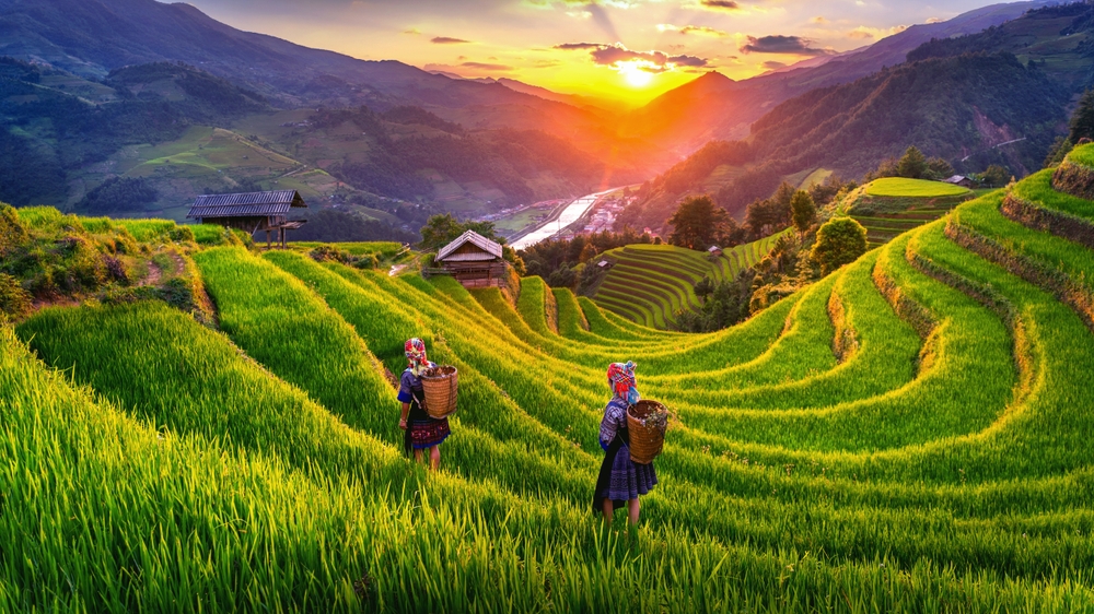Vietnam. Photo: Shutterstock