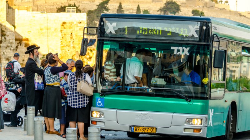 נהג אוטובוס נהג אוטובוס