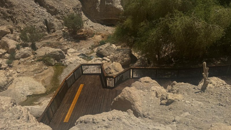 צילום: רשות הטבע והגנים צילום: רשות הטבע והגנים