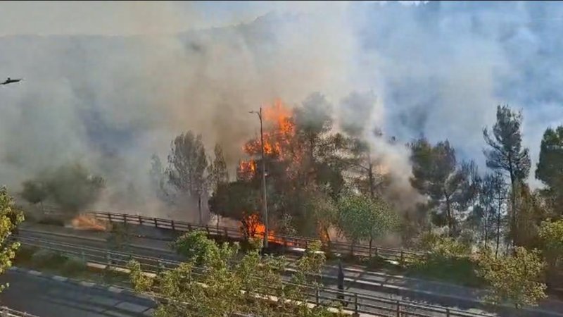 השריפה. צילום: ערוץ הטלגרם של כבאות והצלה ארצי
