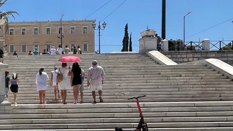 צילום: עמית קוטלר