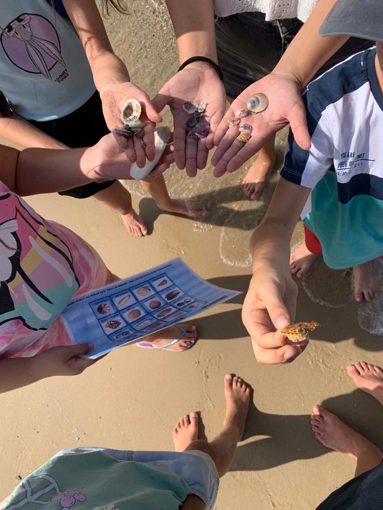 סיורים ימיים לכל המשפחה. צילום: אקואושן
