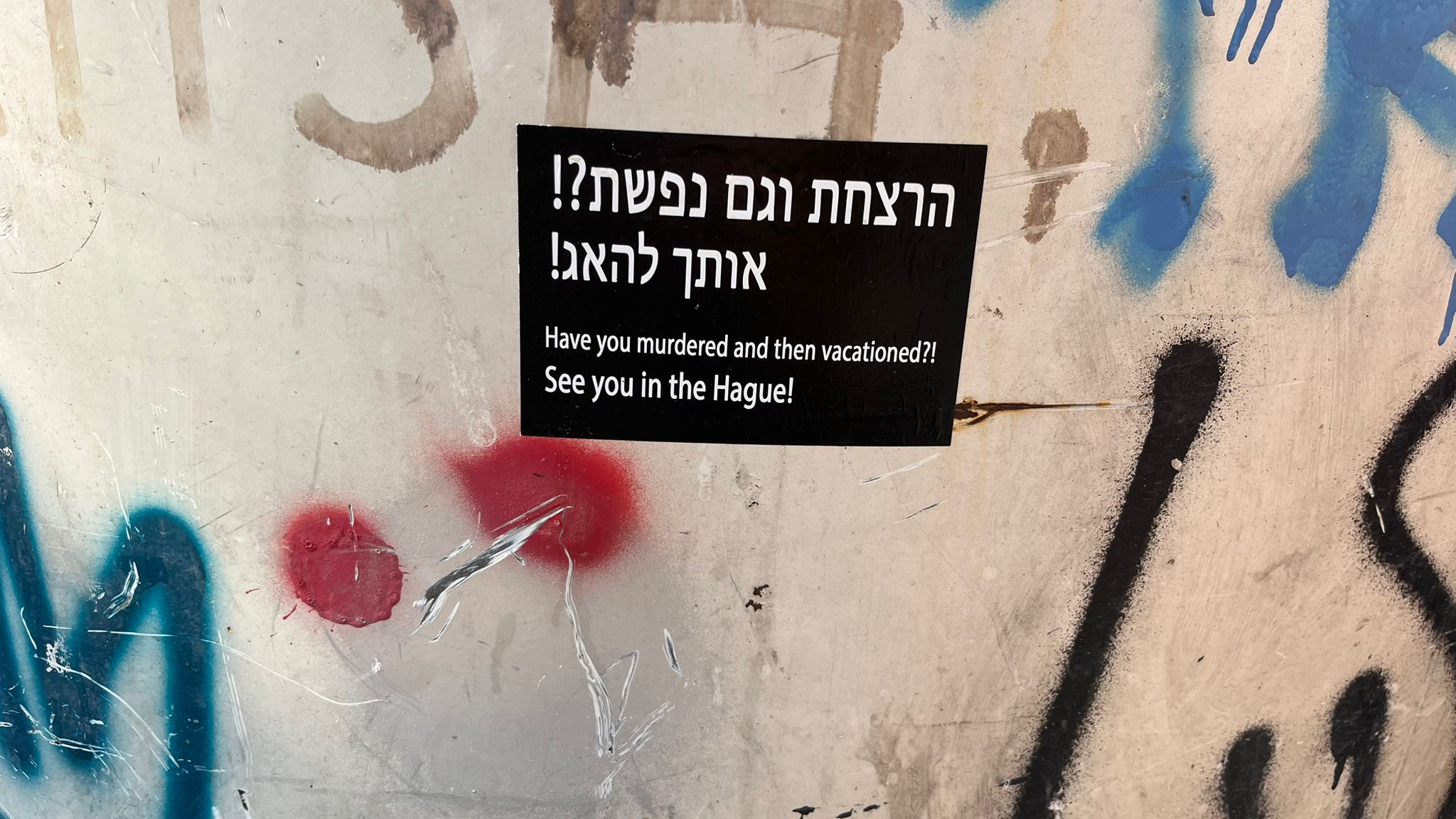 צילום: עמית קוטלר