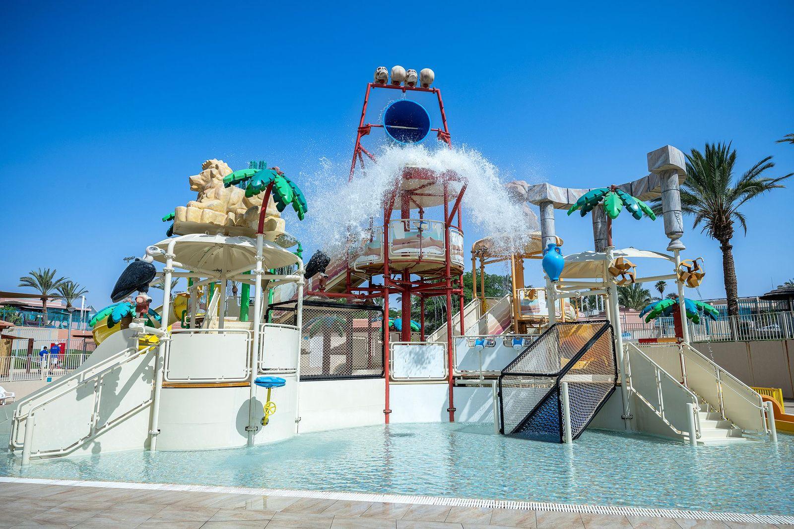 Фото: Рони Белхасан