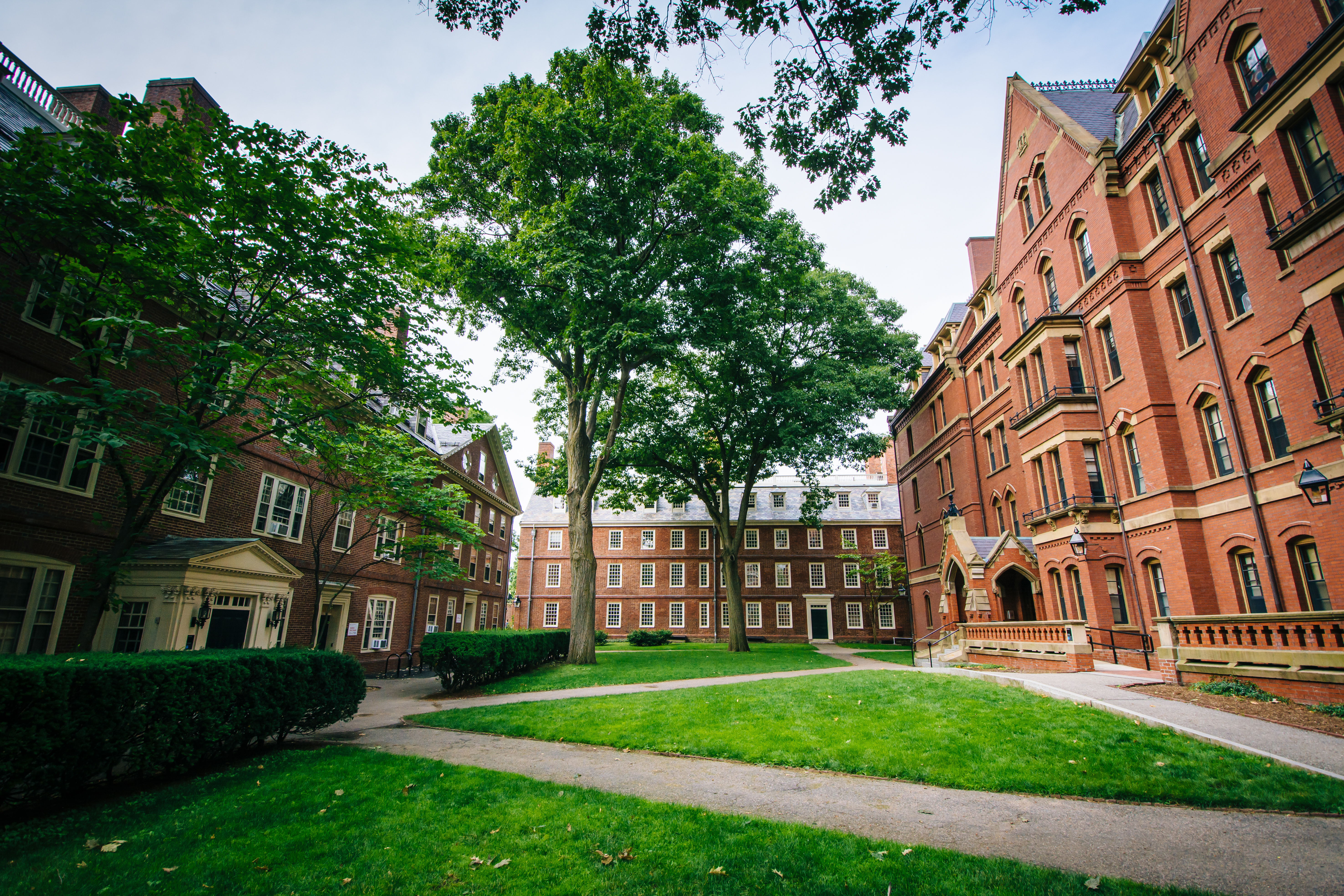 אוניברסיטת Harvard. צילום: Shutterstock