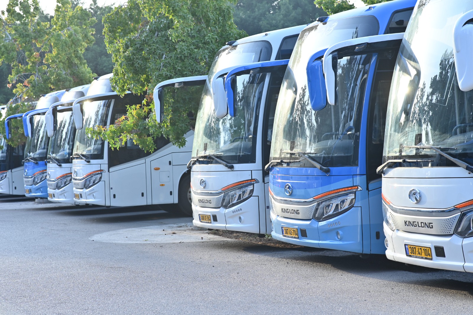 אוטובוסי קינג לונג. צילום: דלהום מוטורוס