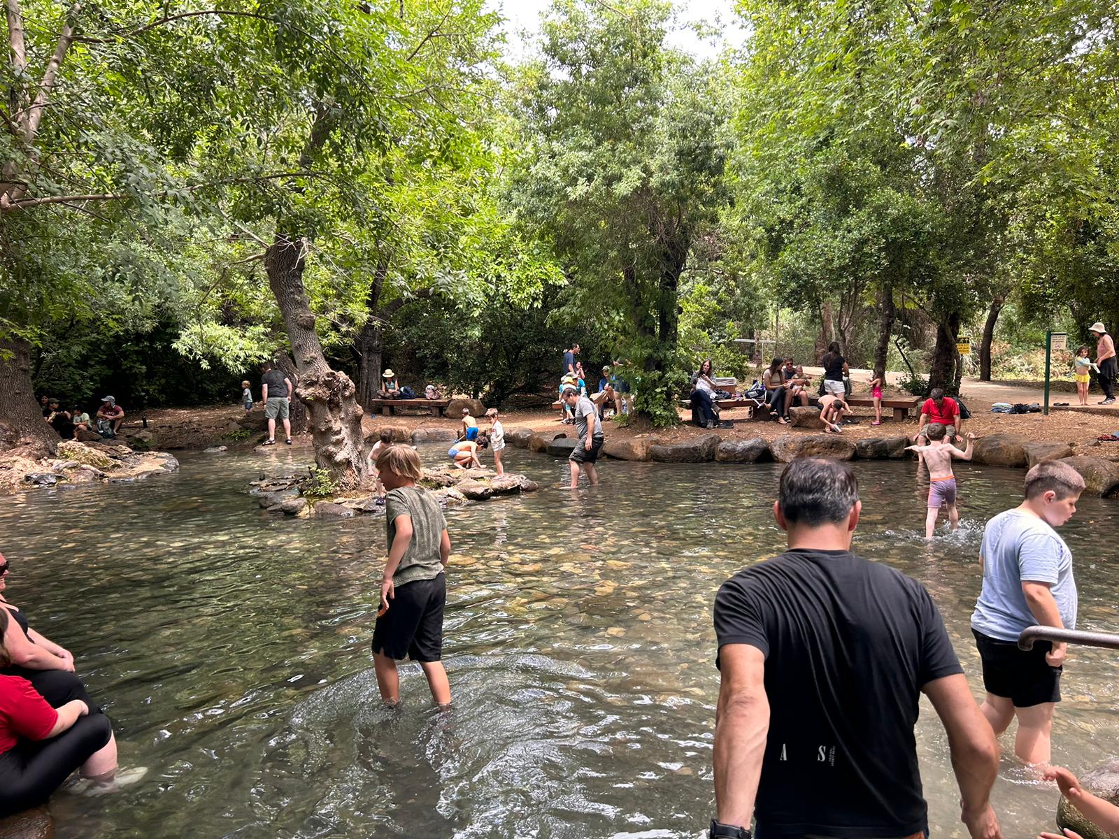 אירועים מיוחדים יום כמו הסלמנדרה בתל דן. צילום: נעמה מנספלד, רשות הטבע והגנים