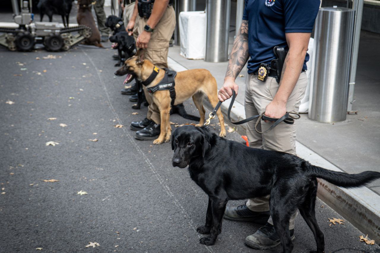 ההיערכות בעיצומה. צילום: NYPD NEWS