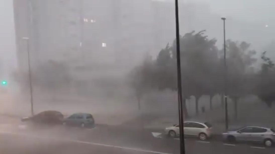 קרדיט: עמוד X