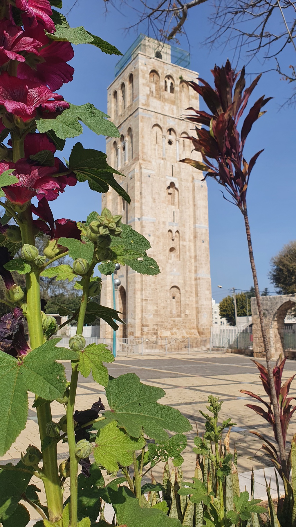 המגדל הלבן. צילום: רון פלד