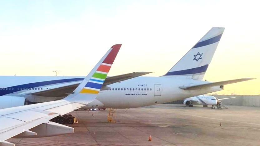 מטוסי אל על וארקיע בנמל התעופה בן גוריון (צילום: עמית קוטלר)