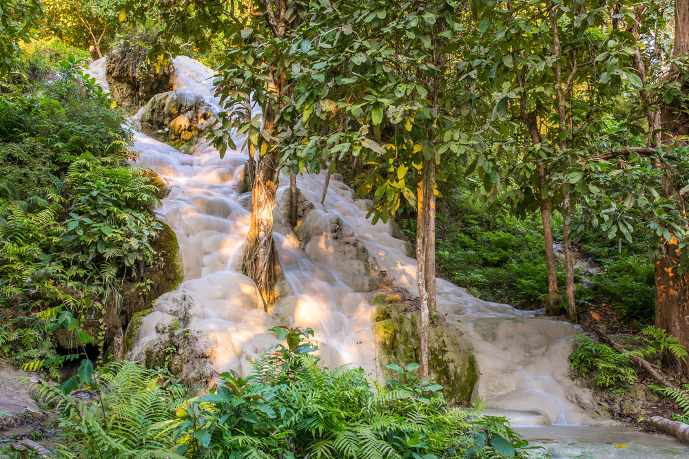 Bua thong sticky waterfall. צילום: Shutterstock