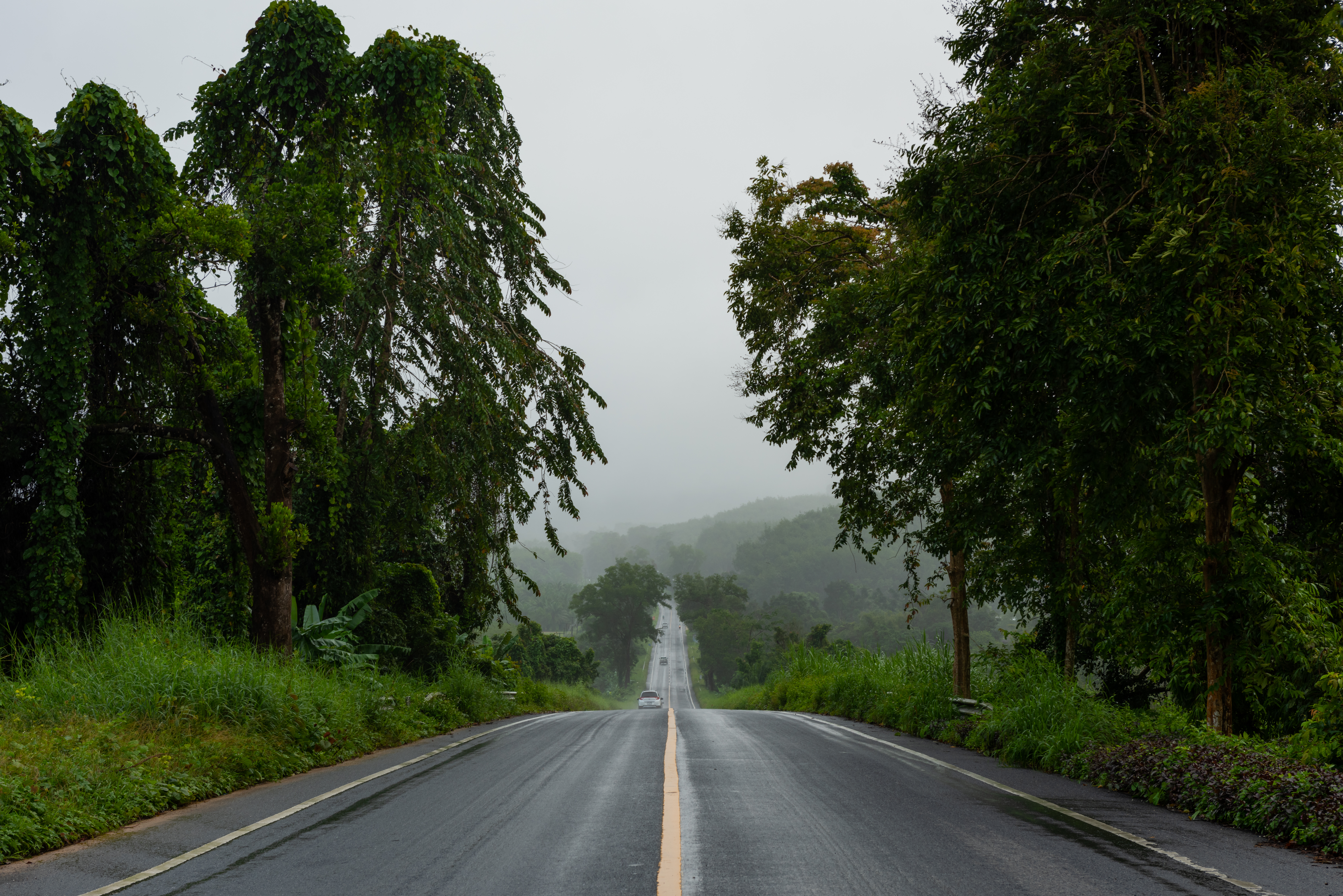 Phang nga Highway 401. צילום: לשכת התיירות של תאילנד בישראל TAT