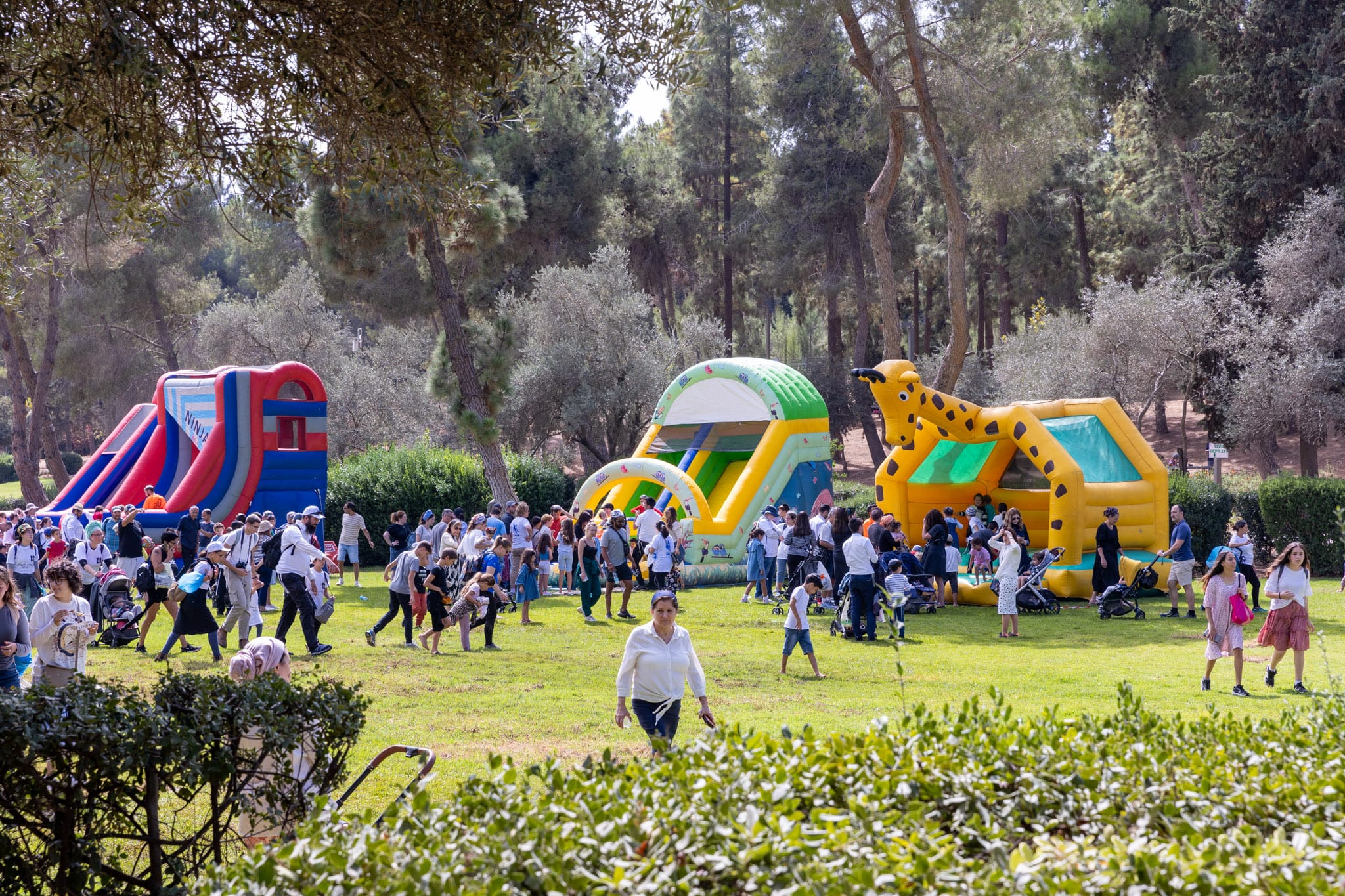 צעדת ירושלים. צילום: עיריית ירושלים
