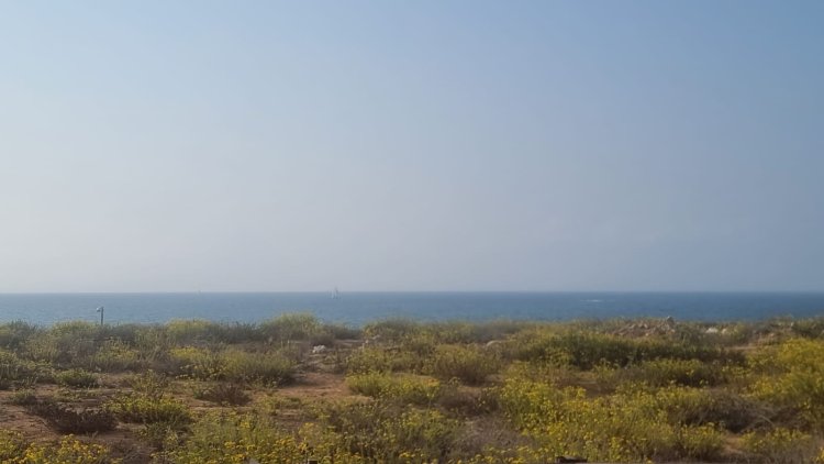 אין נוף יפה מזה - הנוף מול הספא. צילום: ספיר פרץ