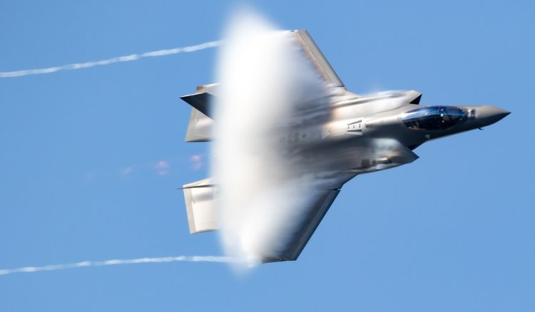 מטוס על. צילום: VanderWolf Images, shutterstock