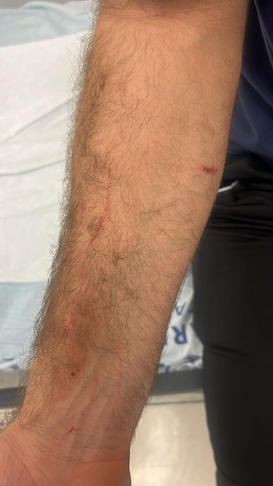  צילום: באדיבות ארגון נהגי התחבורה הציבורית