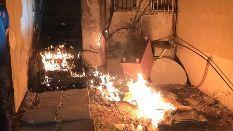 צילום: מתנאל בושרי