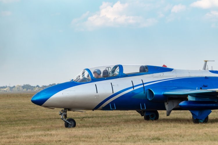 מטוס Aero L-29 Delfin . צילום: Kathrine Andi, shutterstock