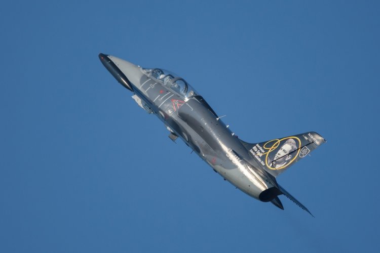 מטוס  L-39 Albatros. צילום: Dawid Lech, shutterstock