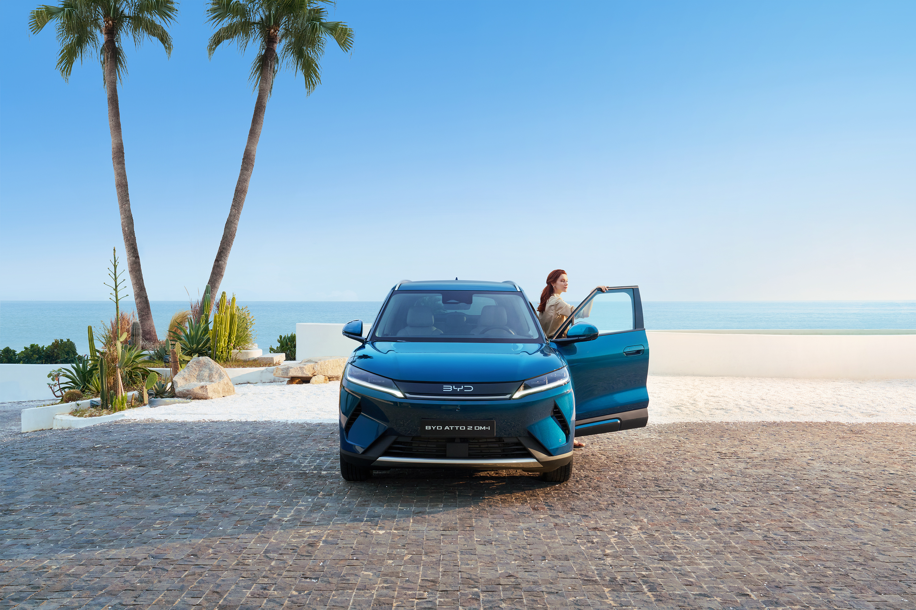 BYD ATTO2 DM-i. צילום: יצרן