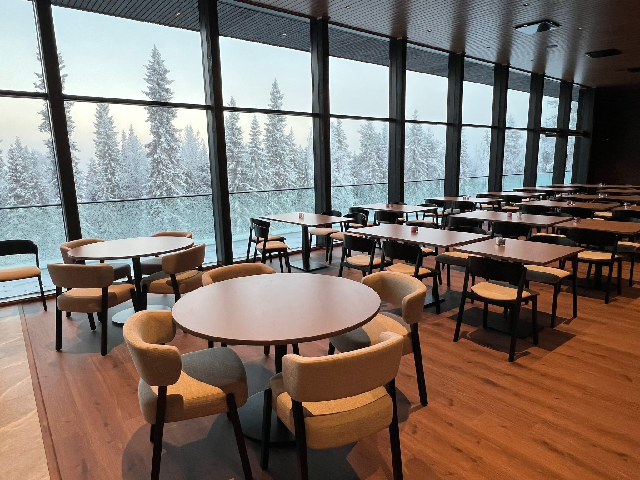 צילום: Arctic Panorama Resort