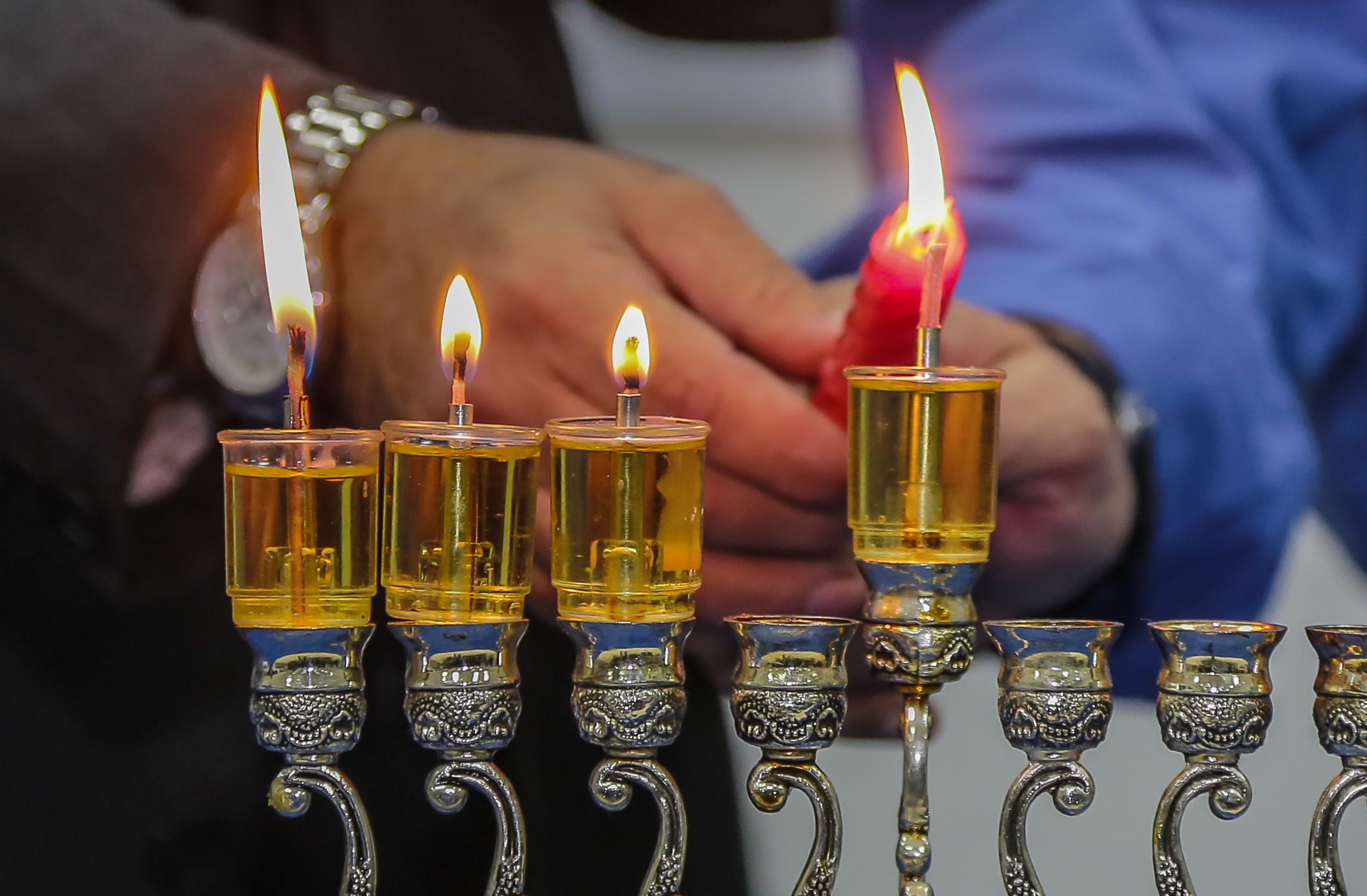 קק״ל מאירה את ישראל. צילום: אדי ישראל