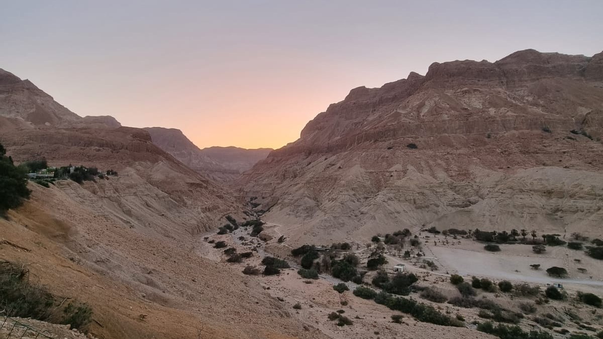 עין גדי. צילום: ספיר פרץ