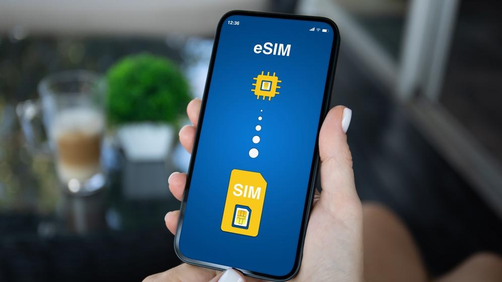e-sim 