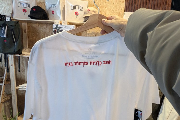 ושוב כלניות פורחות בגיא. צילום: ספיר פרץ