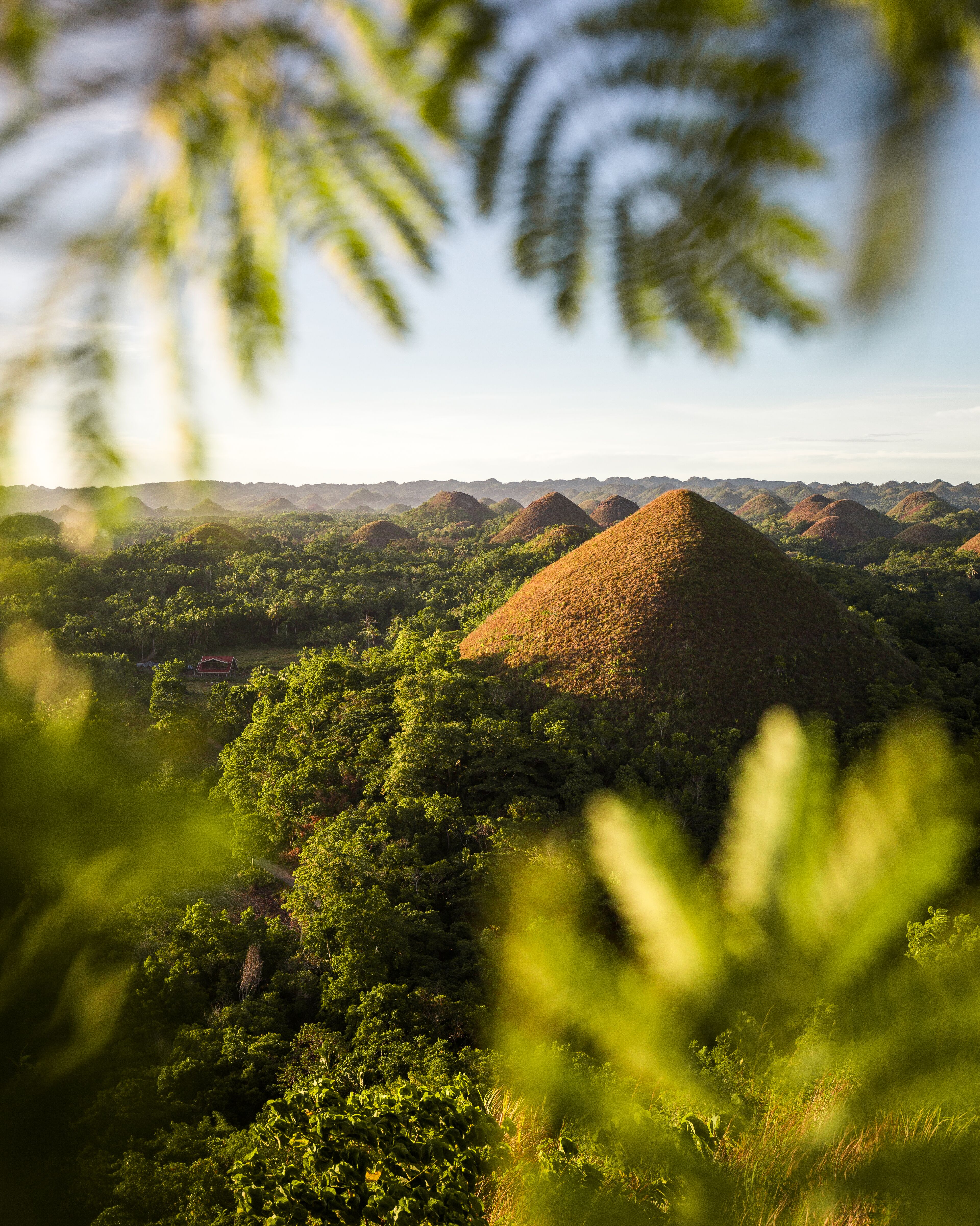 Chocolate Hills - Courtesy of the Philippine Department of Tourism
